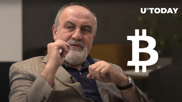 'Black Swan' Author on Bitcoin's Decline: 'This Is How Open Ponzis Implode' 'Black Swan' Author on Bitcoin's Decline: 'This Is How Open Ponzis Implode'