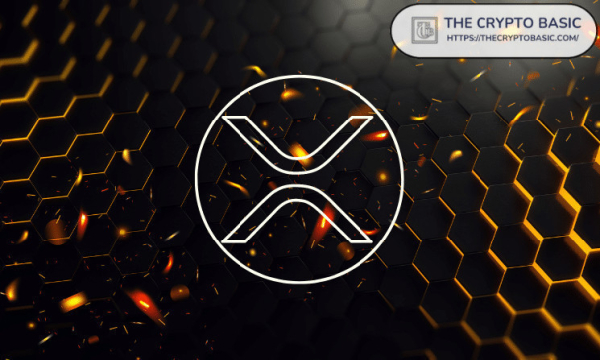 Expert Claims XRP is Facing Coordinated Attacks, Highlights 6 Signs