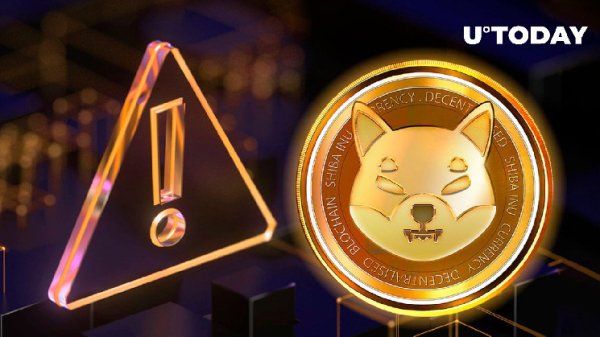 SHIB Member Issues Major Warning to Community: Details