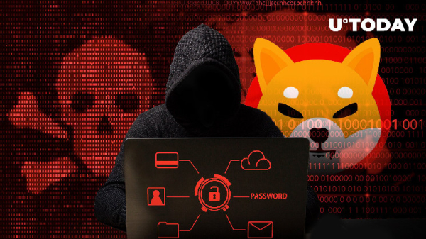 Shiba Inu Blockchain Faces Scam Attack: Shibarium Lead Makes Explosive Revelation
