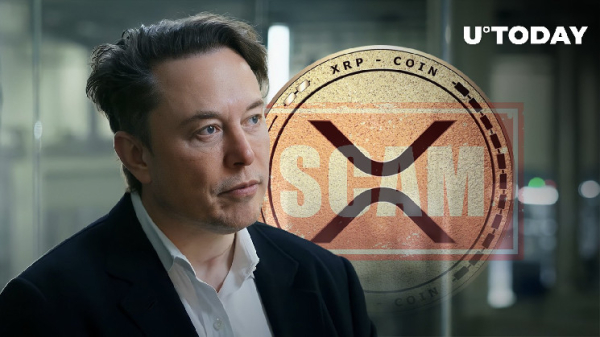 Elon Musk Under Fire for Allowing XRP Scam Posts to Proliferate