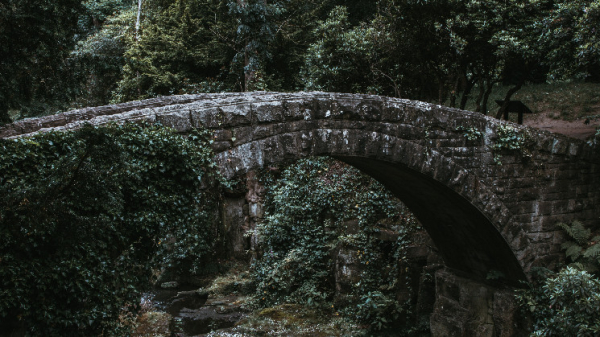 Connext Airdrop Marred by $38K Sybil Bot Attack