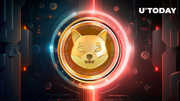 Shiba Inu (SHIB) Holders Should Not Joke With This Critical Information: Details Shiba Inu (SHIB) Holders Should Not Joke With This Critical Information: Details
