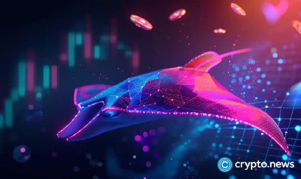 Manta Network hit with now resolved DDoS attack Manta Network hit with now resolved DDoS attack