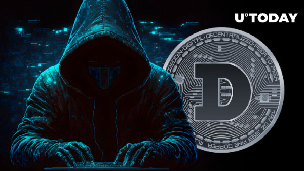 Crucial Warning Made by DOGE Contributor After Today’s MyDoge Account Hack