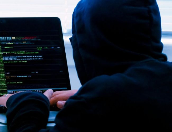 Crypto Fraud Unveiled: $1.3B Loss As Chuck Norris-Endorsed CEO Turns Out To Be Illusion Crypto Fraud Unveiled: $1.3B Loss As Chuck Norris-Endorsed CEO Turns Out To Be Illusion