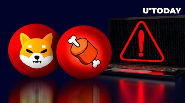 No SHIB, BONE Airdrops: Shiba Inu Community Gets Urgent Warning
