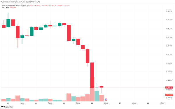 Mem Token on Elon Musk's Radar Was Hacked! Price Dropped!
