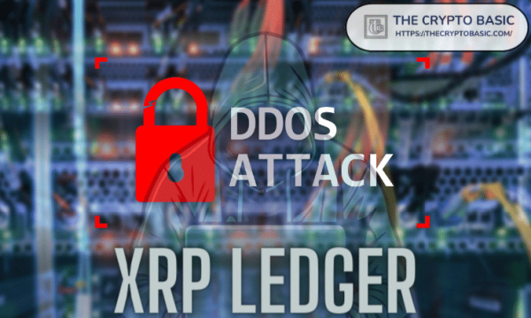 XRP Ledger Under Massive DDOS Attack: Details