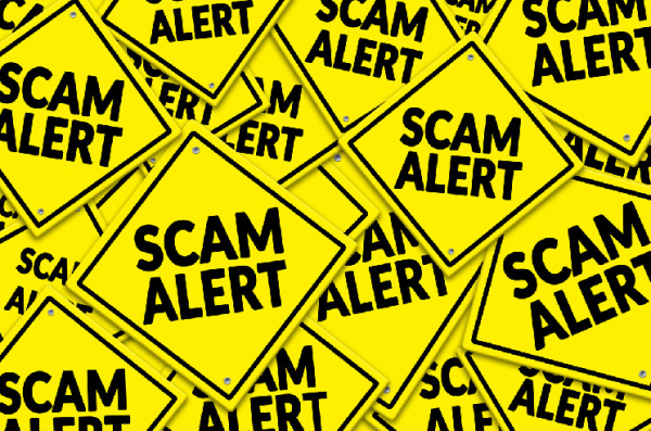Scammers Use Meme Coin Mania to Defraud 42,000 Victims and Amass $32 Million: Blockfence
